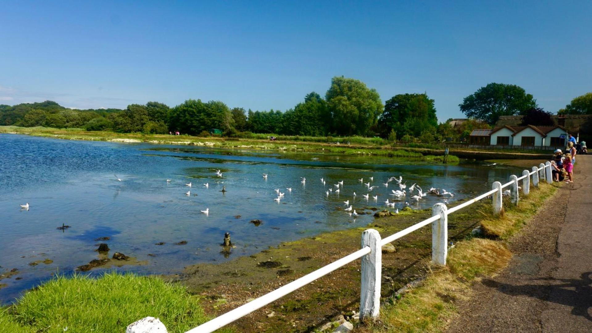Valley View Self-Catering Coastal Bungalow In Rural West Wight Freshwater Ngoại thất bức ảnh